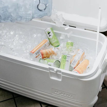 Insulated Ice Chests for Outdoor Adventures Camping