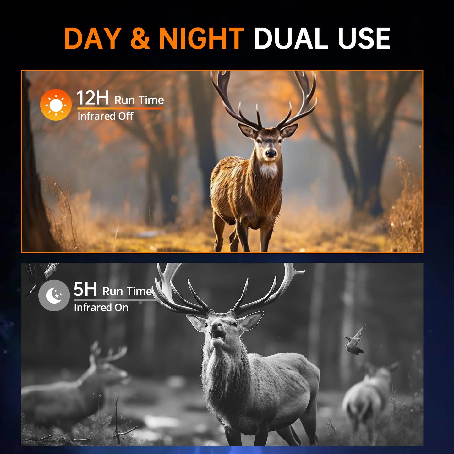 Hunting 4K Night Vision Binoculars 8x Digital 400m